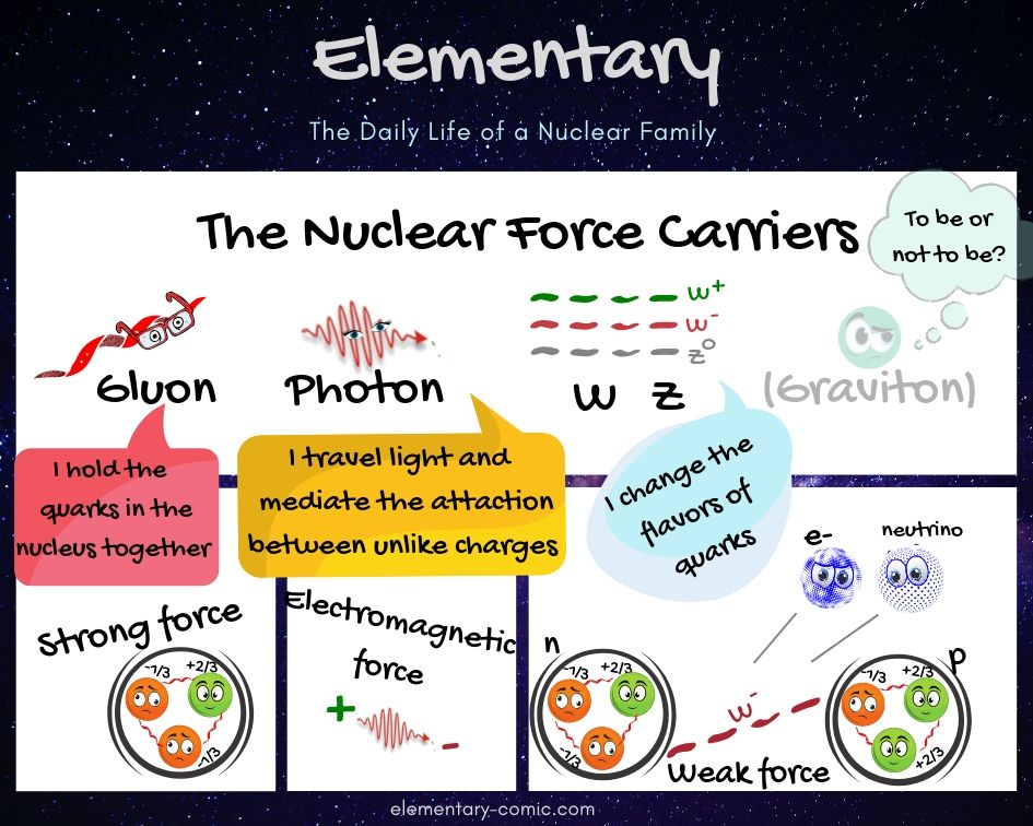 Introducing the Nuclear Force Carriers